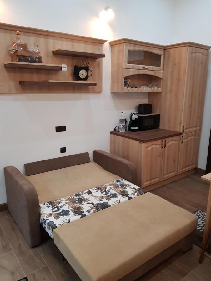 Ella Apartment Timisoara No11 Εξωτερικό φωτογραφία